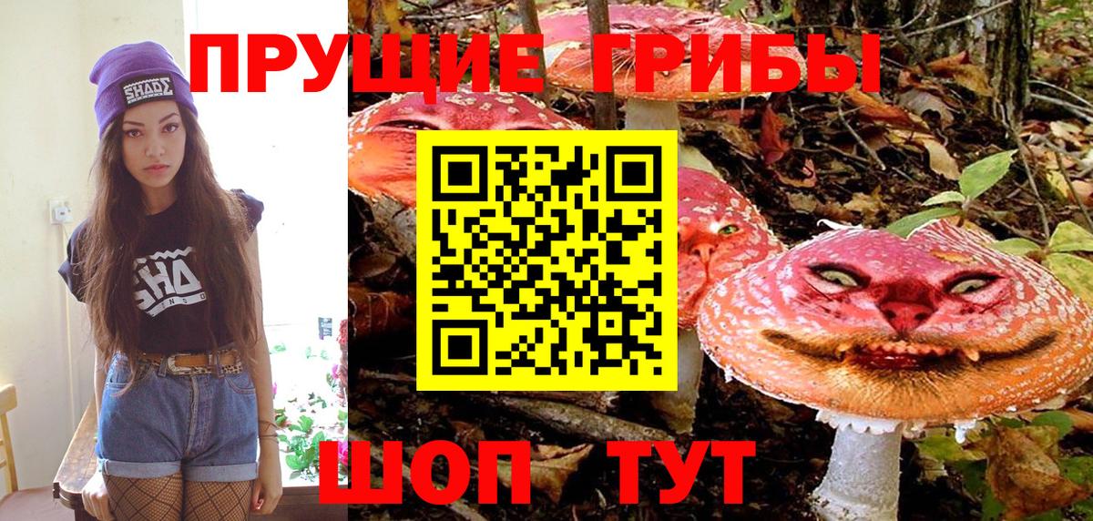 сколько стоит  Псилоцибиновые грибы прущие грибы  Вход с VPN  Шатура  Псилоцибиновые грибы мицелий 